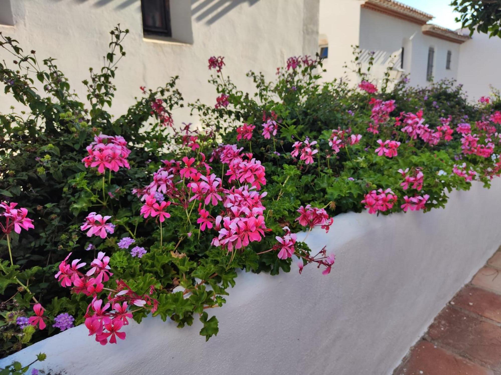Dona Lola , Luminoso Apartamento Calahonda, Mijas Sitio de Calahonda Екстериор снимка